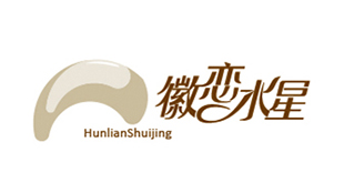 徽恋水星logo标志设计